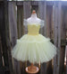 Princess Belle Tutu Dress Costume - Fully lined crochet top sizes 4T and up