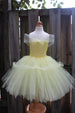 Princess Belle Tutu Dress Costume - Fully lined crochet top sizes 4T and up